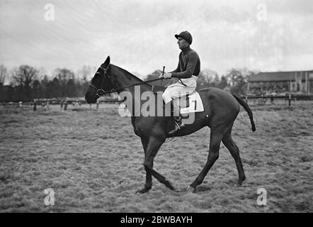 Al Lingfield Park racecourse , Surrey ,' Vicino Oriente' guidato da T McCarthy. 16 gennaio 1932 Foto Stock