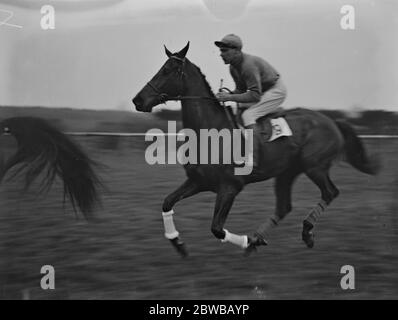 All'ippodromo di Lingfield Park , Surrey , il cavallo da corsa ' assicurazione ' , guidato da T leader , il campione hurdler 5 febbraio 1932 Foto Stock