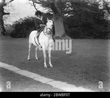 Il 12 marzo 1923, il Parco Stud del Crabet di Lady Wentworth, un allevamento di cavalli arabi portato nella tenuta di Englands Crabet in Sussex Foto Stock