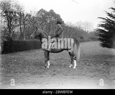 Il 12 marzo 1923, il Parco Stud del Crabet di Lady Wentworth, un allevamento di cavalli arabi portato nella tenuta di Englands Crabet in Sussex Foto Stock