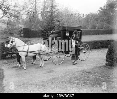 Lady Wentworth , famosa come allevatrice di cavalli arabi , allevamento di cavalli arabi , e si interessa molto di più all' allevamento , alla rottura e alla scolarizzazione di questi bellissimi animali . Il pony brougham di Lady Wentworth . Entrambi i pony visti nel fotografo hanno vinto coppe e medaglie campione. Sono solo circa 11 mani 17 marzo 1923 12 marzo 1923 Foto Stock