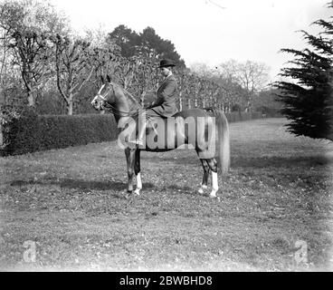 Il 12 marzo 1923, il Parco Stud del Crabet di Lady Wentworth, un allevamento di cavalli arabi portato nella tenuta di Englands Crabet in Sussex Foto Stock