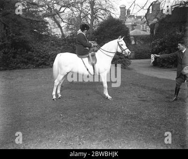 Il 12 marzo 1923, il Parco Stud del Crabet di Lady Wentworth, un allevamento di cavalli arabi portato nella tenuta di Englands Crabet in Sussex Foto Stock