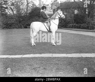 Il 12 marzo 1923, il Parco Stud del Crabet di Lady Wentworth, un allevamento di cavalli arabi portato nella tenuta di Englands Crabet in Sussex Foto Stock