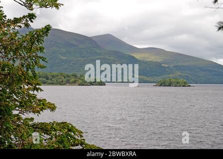 Lago al Parco Nazionale di Killarney, Irlanda Foto Stock