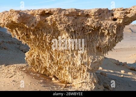 Radici di mangrovie fossilizzate esposte a Wadi El Hitan, Valle dei fossili, nel deserto occidentale dell'Egitto Foto Stock