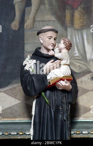 Sant'Antonio di Padova custodisce Gesù bambino, statua sull'altare di San Biagio presso la chiesa parrocchiale di San Nicola a Gusce, Croazia Foto Stock