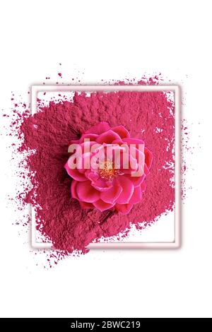 Bella arrangiamento di fiori. Rosa sulla vernice rosa asciutta nel frame.Flat styling, vista dall'alto, copia space.Romantic, layout floreale. Foto Stock