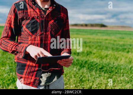 Agricoltore in camicia rossa controllata utilizzando una compressa sul campo di grano verde. Applicazione della tecnologia moderna e delle applicazioni in agricoltura. Concetto di agricoltura intelligente AN Foto Stock