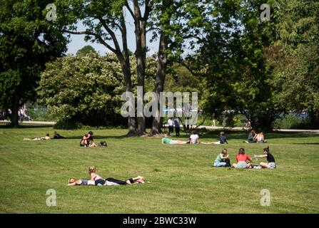 Amburgo, Germania. 31 maggio 2020. La gente si trova e si siede in piccoli gruppi, a distanza l'uno dall'altro, sui prati dell'Alster, sull'Alster esterno sotto il sole. Credit: Daniel Bockwoldt/dpa/Alamy Live News Foto Stock