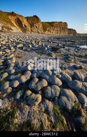 Kilve 15 maggio 2020 Foto Stock