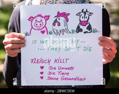 Amburgo, Germania. 31 maggio 2020. In un raduno dell'alleanza 'insieme contro l'industria animale' una persona ha un segno con l'iscrizione 'se non compriamo. Non muoiono' e 'mangia uccide l'ambiente, gli animali, la vostra salute'. Credit: Daniel Bockwoldt/dpa/Alamy Live News Foto Stock