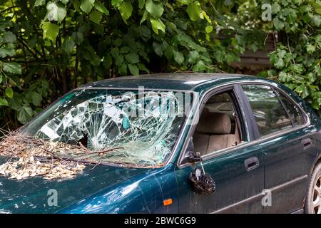 Danni alla vettura, rottura del vetro e dello specchietto laterale. Foto Stock