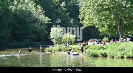 Peebles Scottish Borders, Regno Unito .31 maggio 20 . Sole sull'Hay Lodge Park, i visitatori e la gente del posto godono del bel tempo nuotando e facendo un picnic vicino al fiume Tweed. Credit: eric mcowat/Alamy Live News Foto Stock