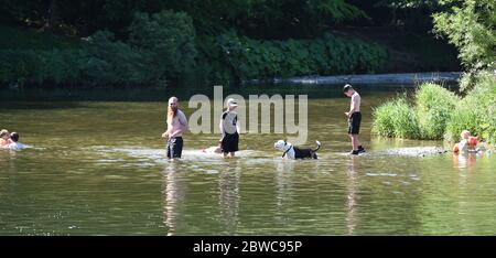 Peebles Scottish Borders, Regno Unito .31 maggio 20 . Sole sull'Hay Lodge Park, i visitatori e la gente del posto godono del bel tempo nuotando e facendo un picnic vicino al fiume Tweed. Credit: eric mcowat/Alamy Live News Foto Stock