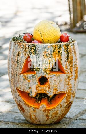 Luoyang, Cina. 29 maggio 2020. Un custode al parco wangcheng a luoyang, provincia di henan, ha trascorso tre giorni facendo dolci vacanze per piccoli animali per celebrare il 1 giugno. 1 giugno sta arrivando la giornata dei bambini, wangcheng parco zoo ha un sacco di piccoli animali, per dare ai piccoli animali una giornata speciale bambini, secondo il gusto di diversi animali, custodi ultimi tre giorni per pianificare, fatto diversi tipi di torta per piccoli animali come regali di vacanza. Credit: ZUMA Press, Inc./Alamy Live News Foto Stock