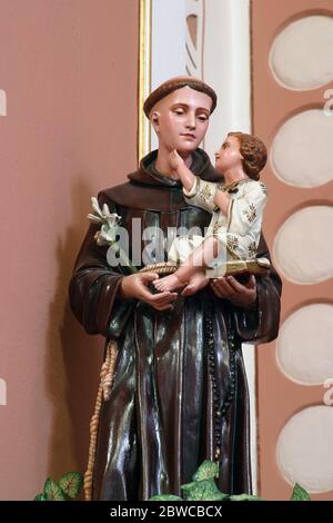 Sant'Antonio custodisce Gesù bambino, una statua nella chiesa parrocchiale di Sant'Antonio da Padova a Durmanec, Croazia Foto Stock