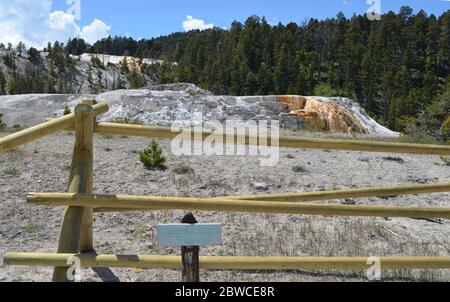 MAMMOTH, WYOMING - 7 GIUGNO 2017: Cleopatra Terrazza nella zona delle terrazze inferiori delle sorgenti termali di Mammoth nel Parco Nazionale di Yellowstone Foto Stock