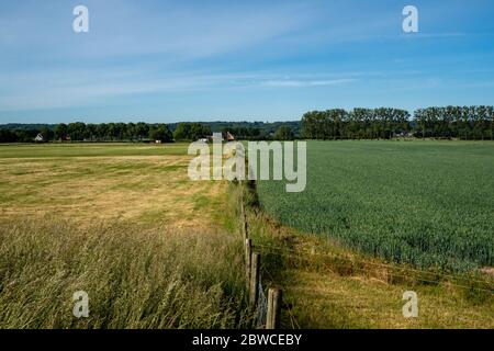 Zona di Nijmegen, Paesi Bassi. 31 maggio 2020. Una vista di due campi, uno più verde dell'altro. I Paesi Bassi stanno vivendo la primavera più secca mai registrata. È più secca che nel 2011, finora, questa primavera è quella con il più grande deficit di precipitazioni. A causa della siccità persistente, gli agricoltori utilizzano impianti sprinkler per irrigare i loro campi. Dopo un inizio bagnato quest'anno, non è caduta molta pioggia da marzo. Gli effetti della siccità sono più evidenti nei Paesi Bassi orientali e meridionali, in particolare in agricoltura e natura. Credit: SOPA Images Limited/Alamy Live News Foto Stock