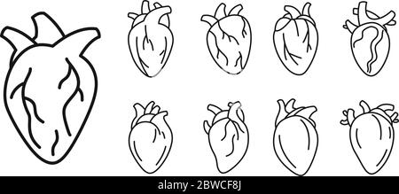 Set di icone per il cuore umano per biologia. Insieme di icone vettoriali per il cuore umano di biologia per il web design isolato su sfondo bianco Illustrazione Vettoriale
