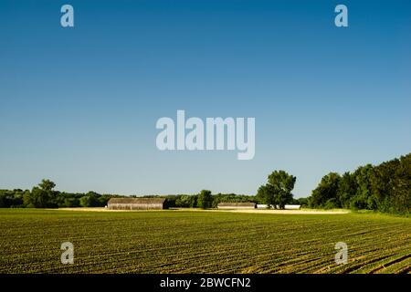 Feilds e Barns East Windsor Hill Historic District   East Windsor, Connecticut, Stati Uniti Foto Stock