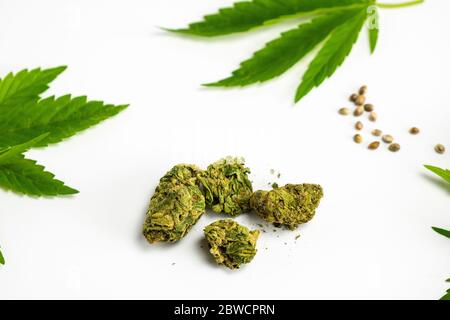 Primo piano di germogli di marijuana medica, semi di canapa e foglie su sfondo bianco. Concetto di uso della cannabis in medicina a base di erbe e alternativa Foto Stock