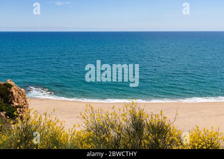 Barcellona, Spagna. 31 maggio 2020. Spiaggia vuota di Cala Roca grossa al momento del blocco in Spagna. Il 21 giugno sarà consentito spostarsi tra le province spagnole. Credit: Dino Geromella / Alamy Live News Foto Stock