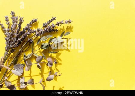 Dry pressed wild flowers.Botanical cosmetic ingredients.Set di erbe curative. Erba secca per uso in medicina alternativa, spa, cosmetici a base di erbe Foto Stock