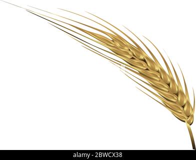 Spica di illustrazione del vettore di grano Illustrazione Vettoriale