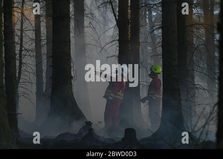 Maesteg, Galles, 31 maggio 2020. Il personale del servizio antincendio lavora fino a tarda sera per combattere un grande incendio nella foresta a Maesteg, nel Galles del Sud. Gli equipaggi di tutta la regione e un elicottero hanno preso le fiamme per 24 ore per portarle sotto controllo mentre diversi incendi infuriavano in tutta la zona: Ha portato alla fine del maggio più arido da quando i record sono iniziati 124 anni fa. Credit : Robert Melen/Alamy Live News. Foto Stock