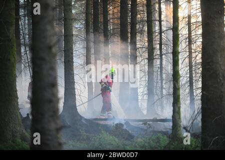 Maesteg, Galles, 31 maggio 2020. Il personale del servizio antincendio lavora fino a tarda sera per combattere un grande incendio nella foresta a Maesteg, nel Galles del Sud. Gli equipaggi di tutta la regione e un elicottero hanno preso le fiamme per 24 ore per portarle sotto controllo mentre diversi incendi infuriavano in tutta la zona: Ha portato alla fine del maggio più arido da quando i record sono iniziati 124 anni fa. Credit : Robert Melen/Alamy Live News. Foto Stock