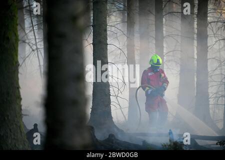 Maesteg, Galles, 31 maggio 2020. Il personale del servizio antincendio lavora fino a tarda sera per combattere un grande incendio nella foresta a Maesteg, nel Galles del Sud. Gli equipaggi di tutta la regione e un elicottero hanno preso le fiamme per 24 ore per portarle sotto controllo mentre diversi incendi infuriavano in tutta la zona: Ha portato alla fine del maggio più arido da quando i record sono iniziati 124 anni fa. Credit : Robert Melen/Alamy Live News. Foto Stock