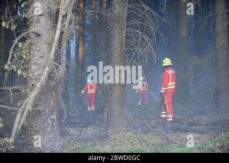 Maesteg, Galles, 31 maggio 2020. Il personale del servizio antincendio lavora fino a tarda sera per combattere un grande incendio nella foresta a Maesteg, nel Galles del Sud. Gli equipaggi di tutta la regione e un elicottero hanno preso le fiamme per 24 ore per portarle sotto controllo mentre diversi incendi infuriavano in tutta la zona: Ha portato alla fine del maggio più arido da quando i record sono iniziati 124 anni fa. Credit : Robert Melen/Alamy Live News. Foto Stock