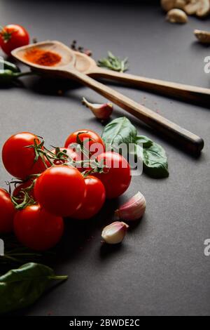 fuoco selettivo di pomodori ciliegini organici, spicchi d'aglio, cucchiai di legno con paprika in polvere e foglie di basilico verde su nero Foto Stock