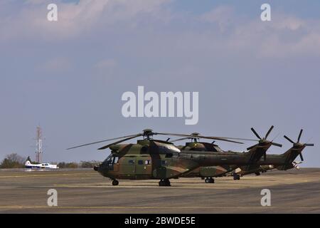 Elicottero militare Atlas Oryx parcheggiato su Airfield Foto Stock