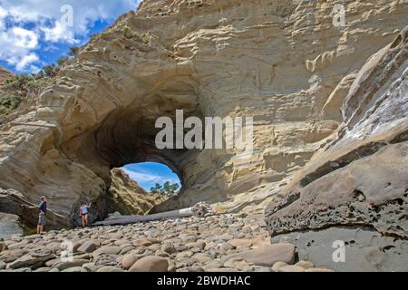 Buca nel muro, lungo il Cooks Cove Walkway a Tolaga Bay Foto Stock