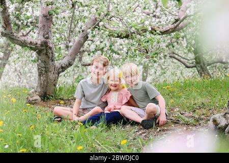 Tre adorabili fratelli e loro sorella sorridono felicemente mentre si siedono fuori sotto gli alberi di mele in fiore nel frutteto Foto Stock