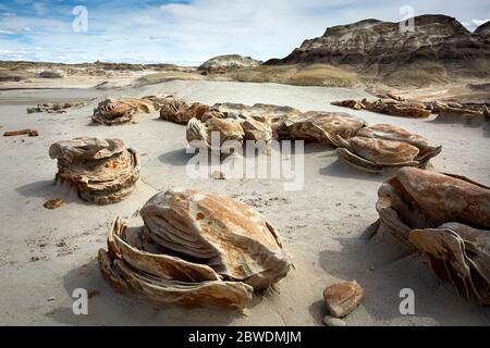 NM00320-00...NUOVO MESSICO - i massi di "uova cracked" nell'area di Bisti Wilderness. Foto Stock