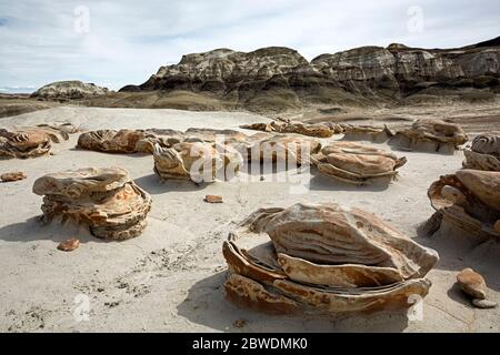 NM00321-00...NUOVO MESSICO - i massi di uova cracked nella zona di Bisti Wilderness. Foto Stock