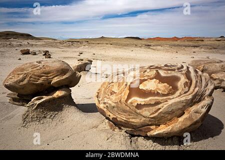 NM00326-00...NUOVO MESSICO - colorati massi nella formazione di "uova cracked" dell'area di Bisti Wilderness. Foto Stock