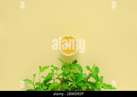 Creativo sfondo estivo minimo di erba che ha fatto da foglie di menta verde e sole da fetta di limone su sfondo giallo. Foto Stock