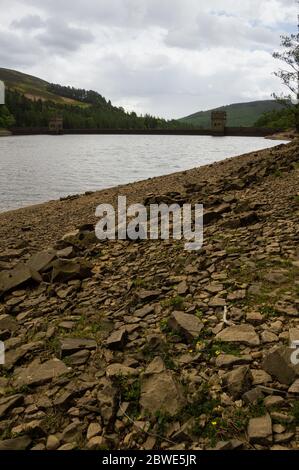 Diga di Derwent sopra il bacino idrico di Derwent con fiori in primo piano, nel distretto di Peak, Regno Unito Foto Stock