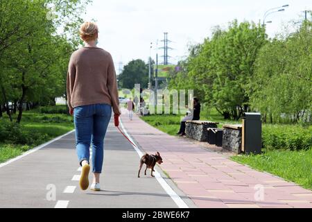 Donna in una maschera medica che cammina un cane in un parco estivo. Cura per un animale domestico durante la pandemia del coronavirus Foto Stock