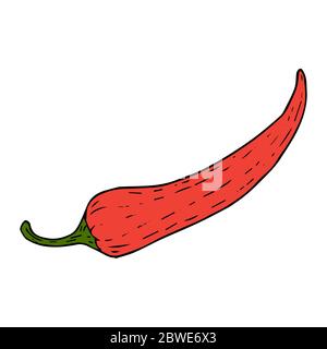 Peperoncino rosso schizzo nero linea isolata su sfondo bianco illustrazione vettoriale per il design e la decorazione Illustrazione Vettoriale
