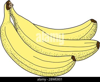 illustrazione vettoriale a tre banane Illustrazione Vettoriale