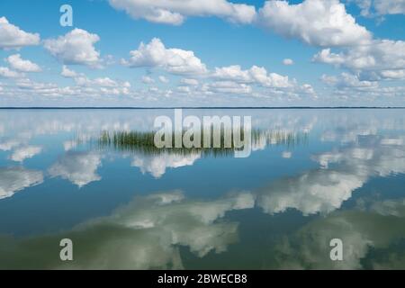 Uno sguardo stupefacente alla calma, in vetro e in vetro riflettente dell'acqua che guarda indietro verso la terraferma. Sullo spit curoniano in Lituania. Foto Stock