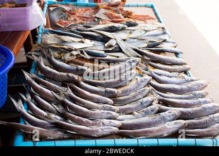 Pesce sole essiccato per conserve alimentari su setaccio in filo all'aperto per la vendita cliente nel negozio di mercato locale del villaggio di pescatori di Ban Bang Krachao a Samut Sakhon, Foto Stock