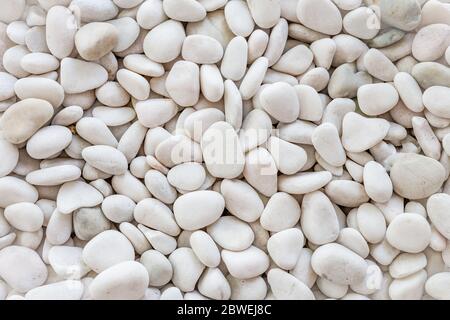 Pietra bianca di ciottoli per sfondo. Pietre di ciottoli bianche e sfondo Foto Stock