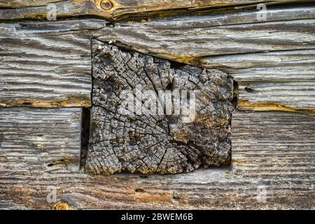 Un particolare esterno della parete di una casa in legno molto antica fatta a mano nel villaggio. La fine del tronco in una superficie di legno che è influenzata dalla precipitazione, Foto Stock