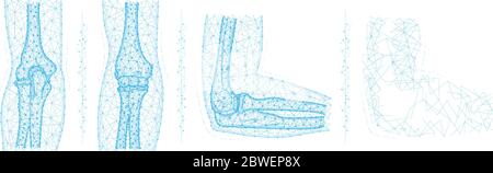 Illustrazione vettoriale poligonale del giunto a gomito umano. Concetto di anatomia delle ossa del braccio. Astratto medico basso poly design su sfondo bianco Illustrazione Vettoriale